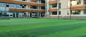 Cara Memilih Rumput Sintesis