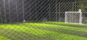 Lapangan Futsal Rumput Sintesis