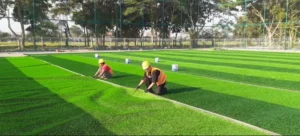 Panduan Lengkap Perawatan Rumput Sintesis