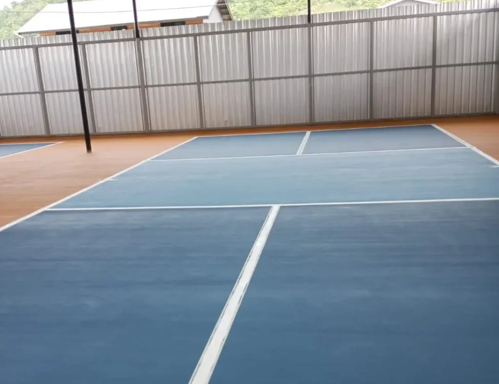 Pickleball adalah Olahraga Raket Gabungan Tenis dan Badminton