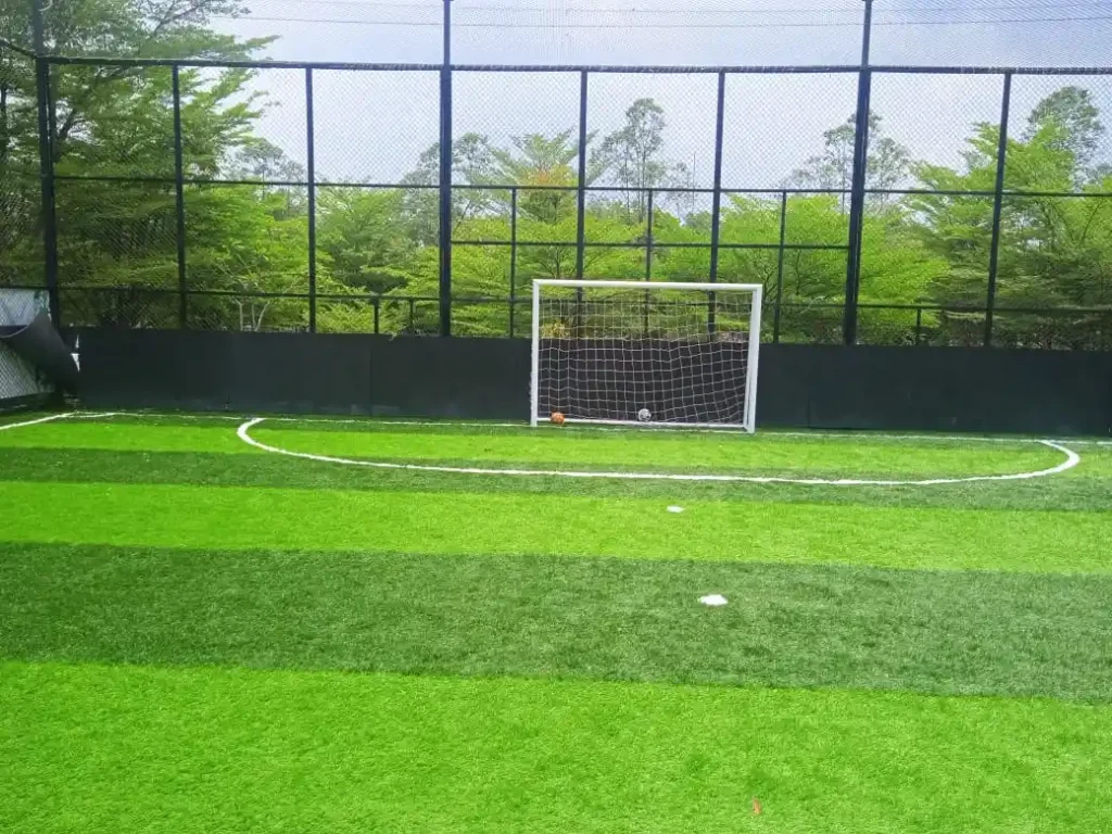 Standar Lapangan Futsal