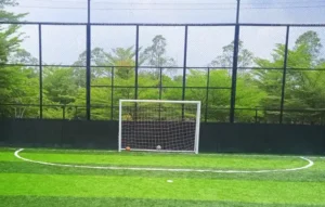 Standar Lapangan Futsal